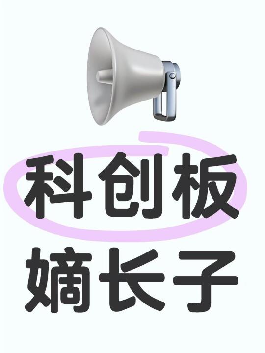 终于蹲到了科创板的嫡长子