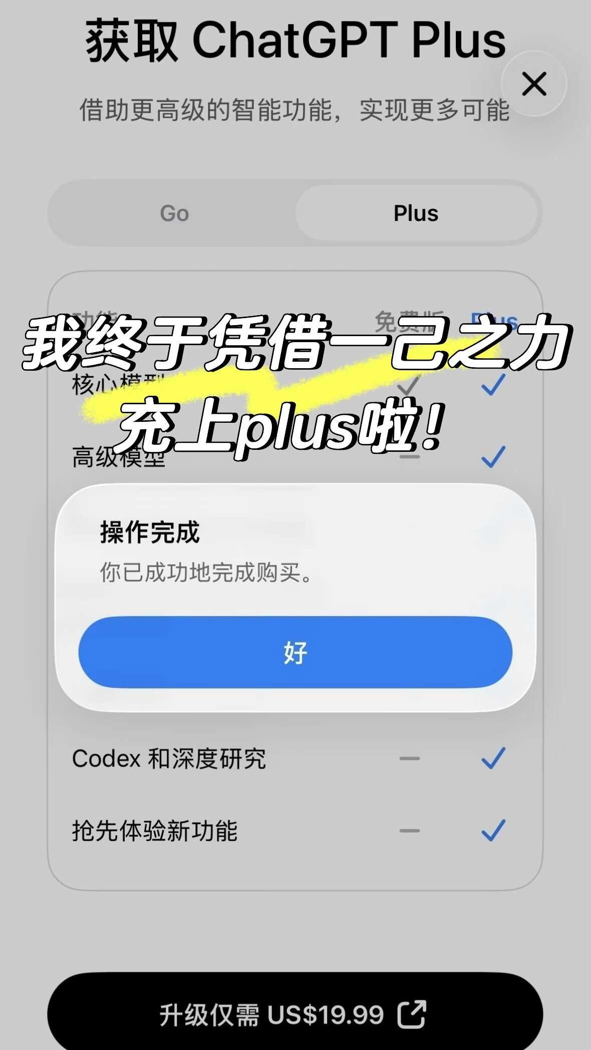终于！我终于凭借一己之力充上plus了！🎉
终于靠自己搞定了GPT Plus升