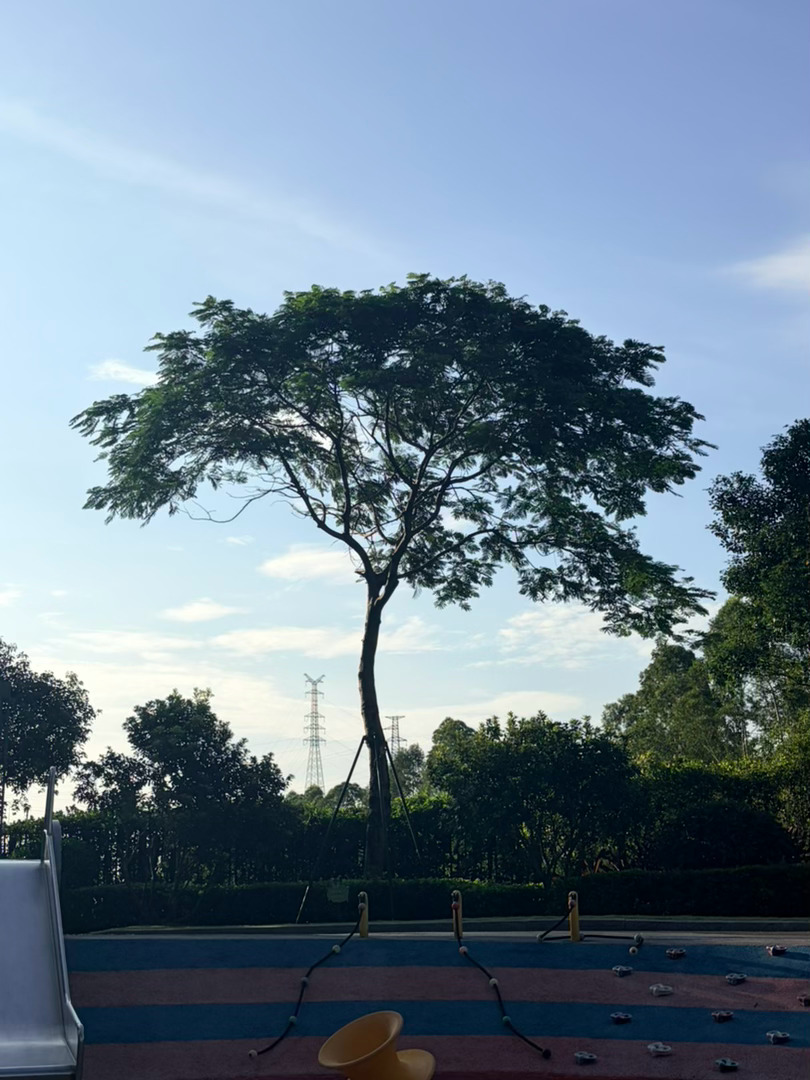 下午出来溜达了，计划去买面包还没去带娃来沙池挖沙子了，有太阳的地方还是好晒呀！还