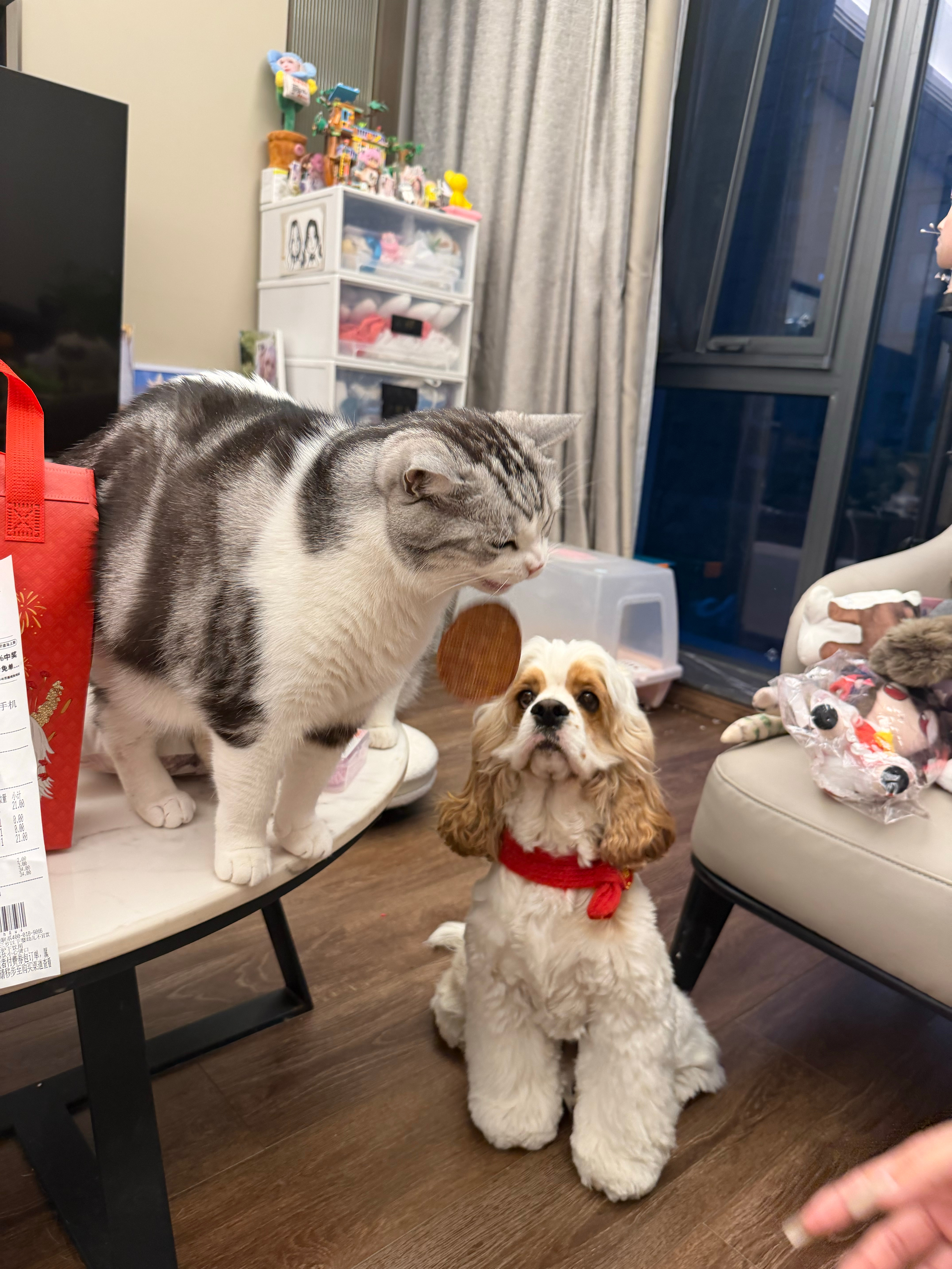 不知道，我的身材很曼妙 ！ 