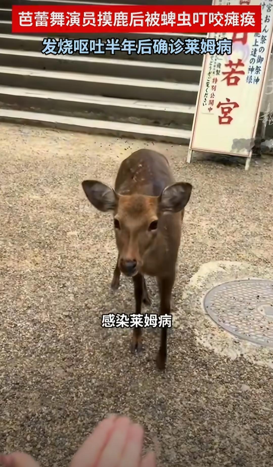 西班牙有个25岁的芭蕾舞演员克里斯蒂娜·罗玛尼亚，还拿过国际比赛奖呢。她2024