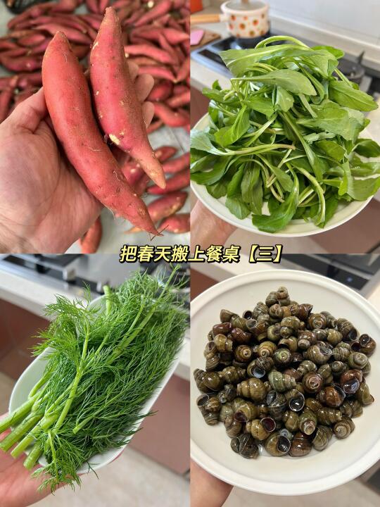 食草族菜谱|把春天搬上餐桌【三】