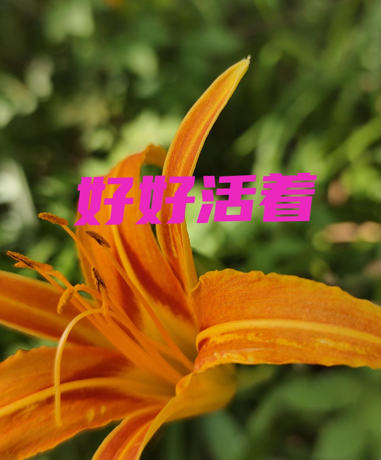 我也是卵巢癌，一个大瘤子8.9，包裹的输卵管和卵巢。我今年80岁，已经康复8年了