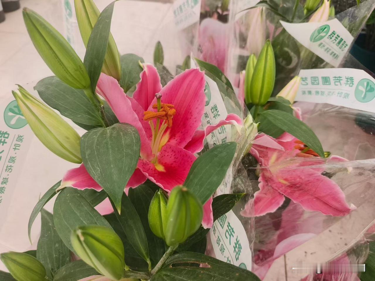 我一直很惋惜，明明是很合适的两个人，为何一点机会都没有，认识一下，加个微信，聊聊