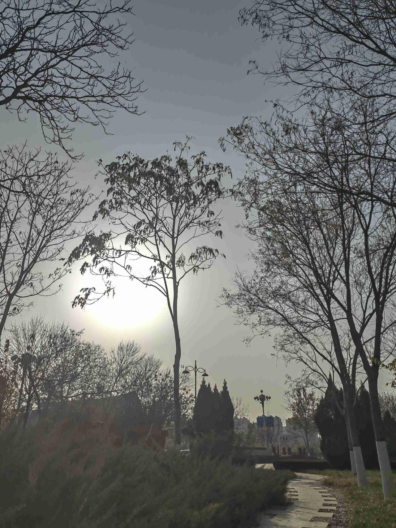 我的今日状态：🏝️旅行度假
我这里的天气：🌤️多云