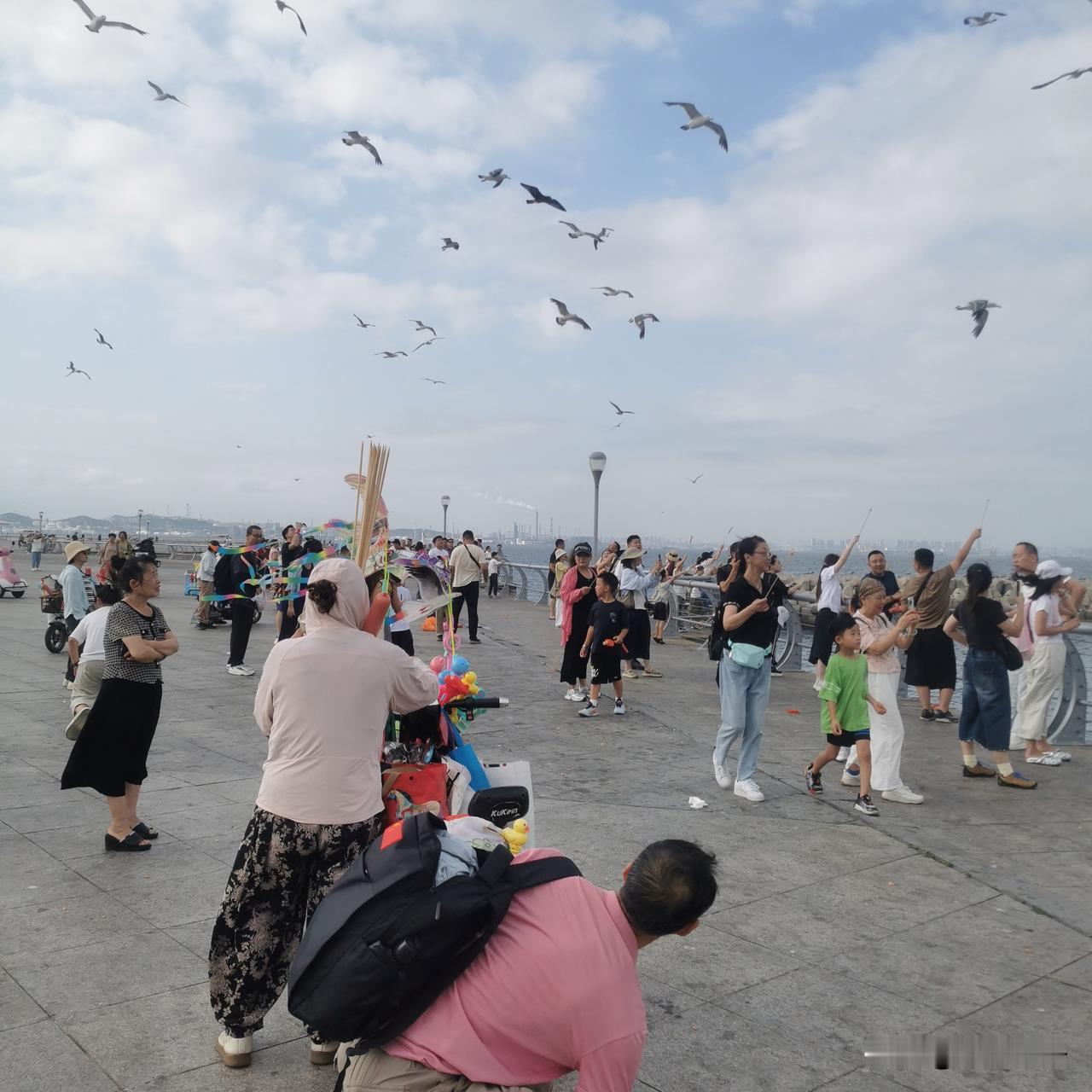 海鸥老牛了，香肠都不惜的吃！
前天，我去东港领着小孙女喂海鸥，买10块钱的六根香