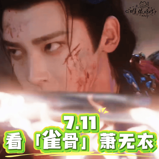 雀骨定档0711
