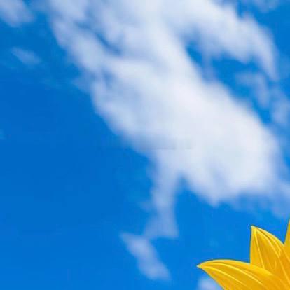 不要限制你的挑战，而是挑战你的极限。 