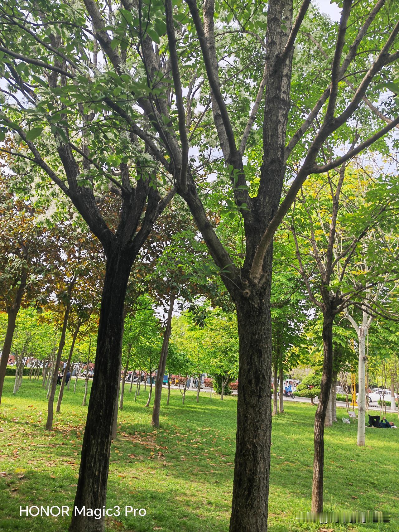 电动车也会串钥匙吗？
        昨天去公园散步，出来的时候，碰见两个女（暂