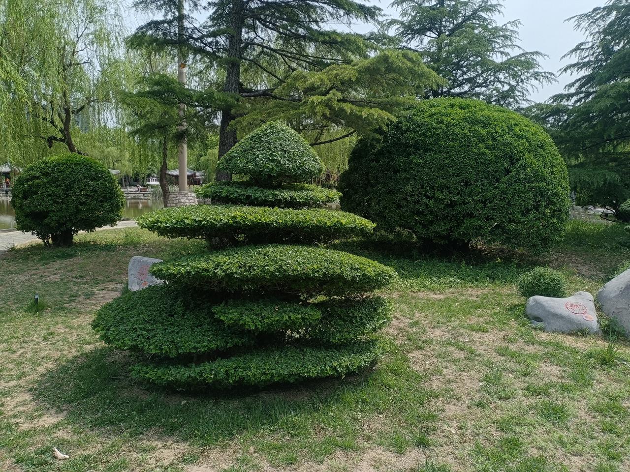 站桩期间为啥有段时间你感觉浑身没劲疲软？
那是因为你经络通了，气血需要重新分配，