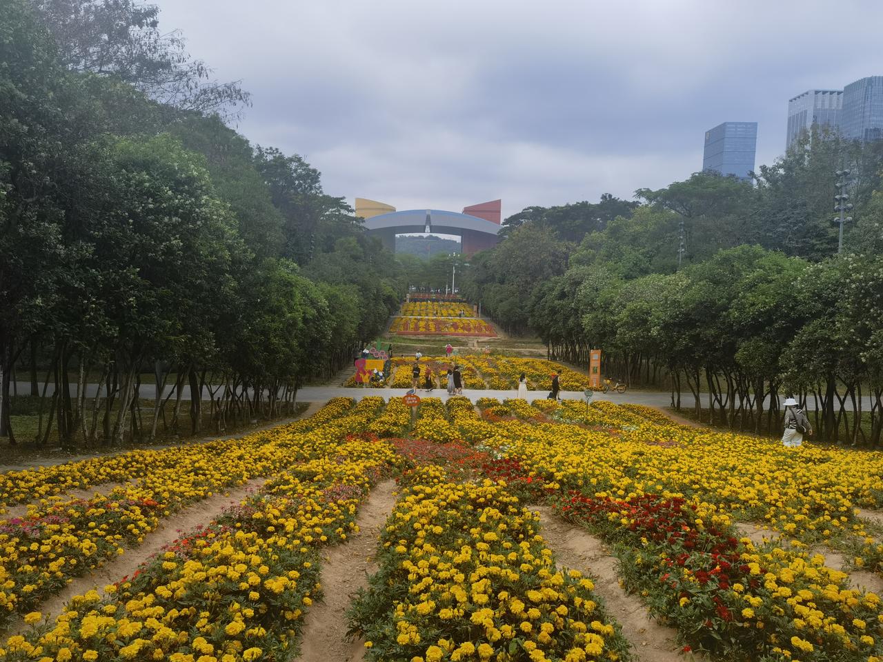 分享一张你随手拍的风光