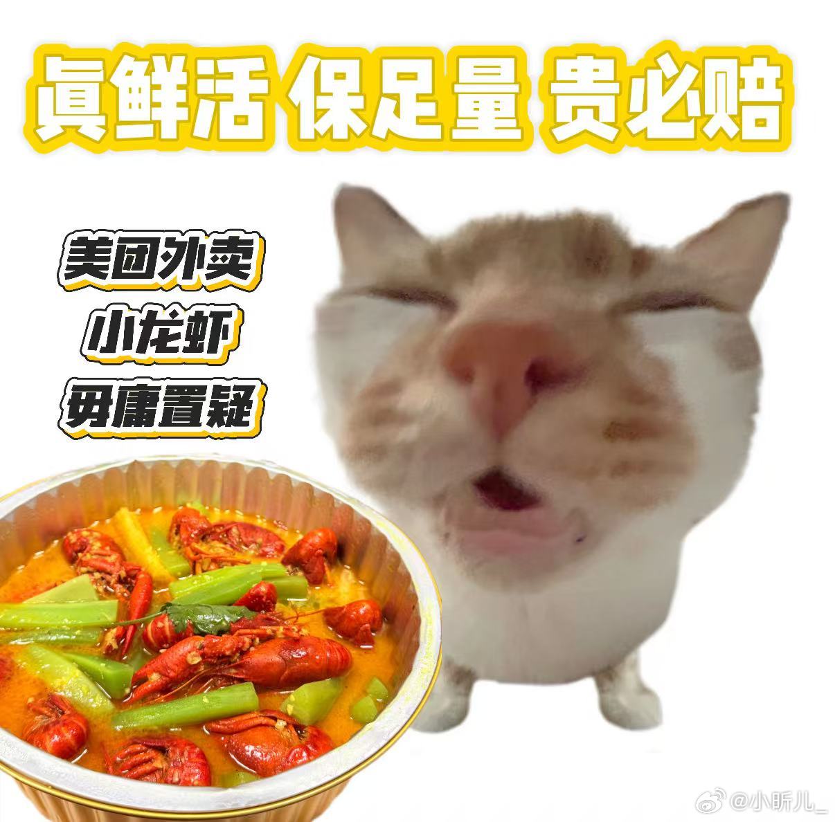 美团外卖龙虾免单不骗你 今天的幸福感是美团给的！原本愚人节怕被骗，结果被免单小龙