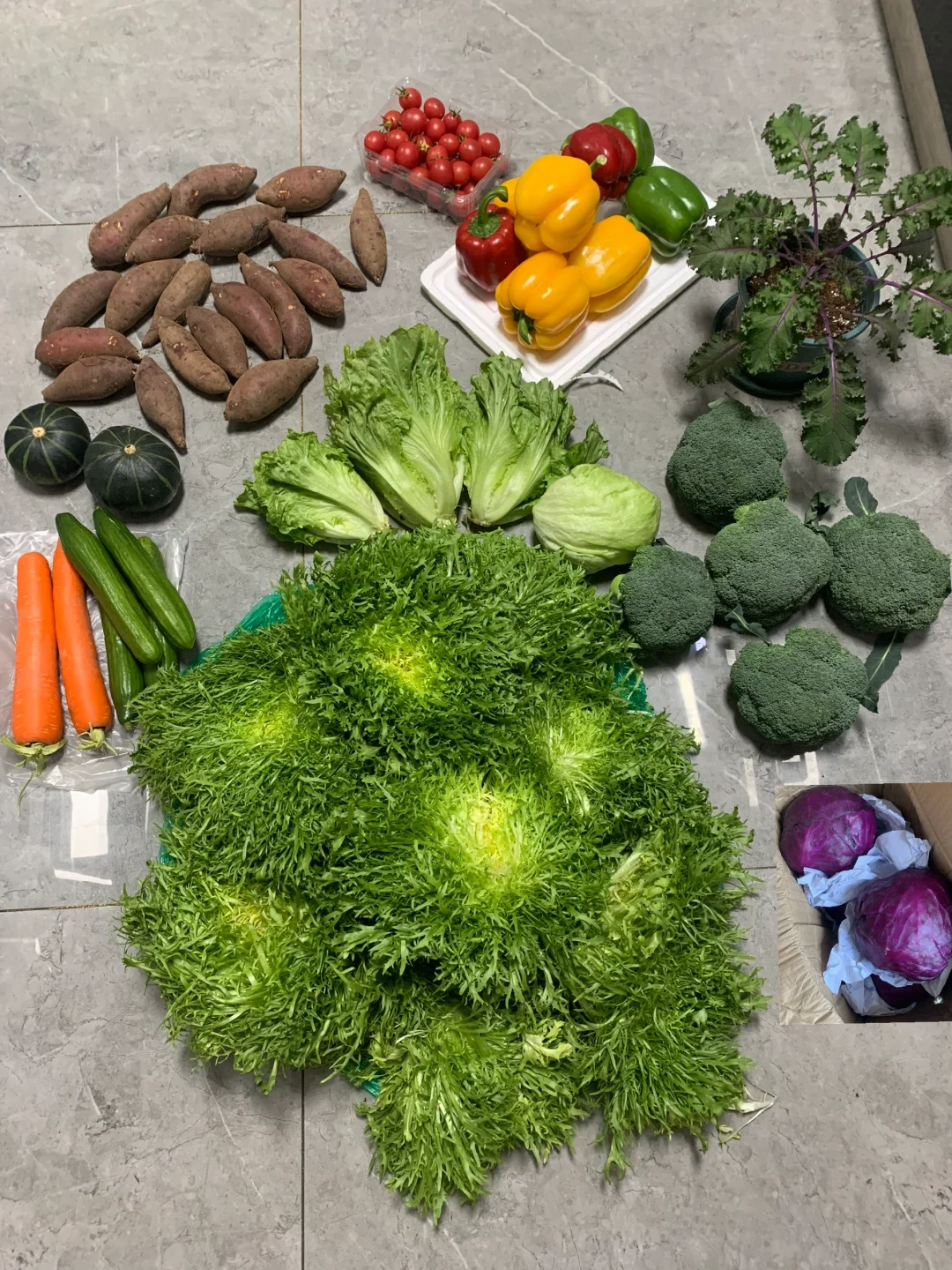 又实现沙拉蔬菜自由啦～🥗报恩蔬菜