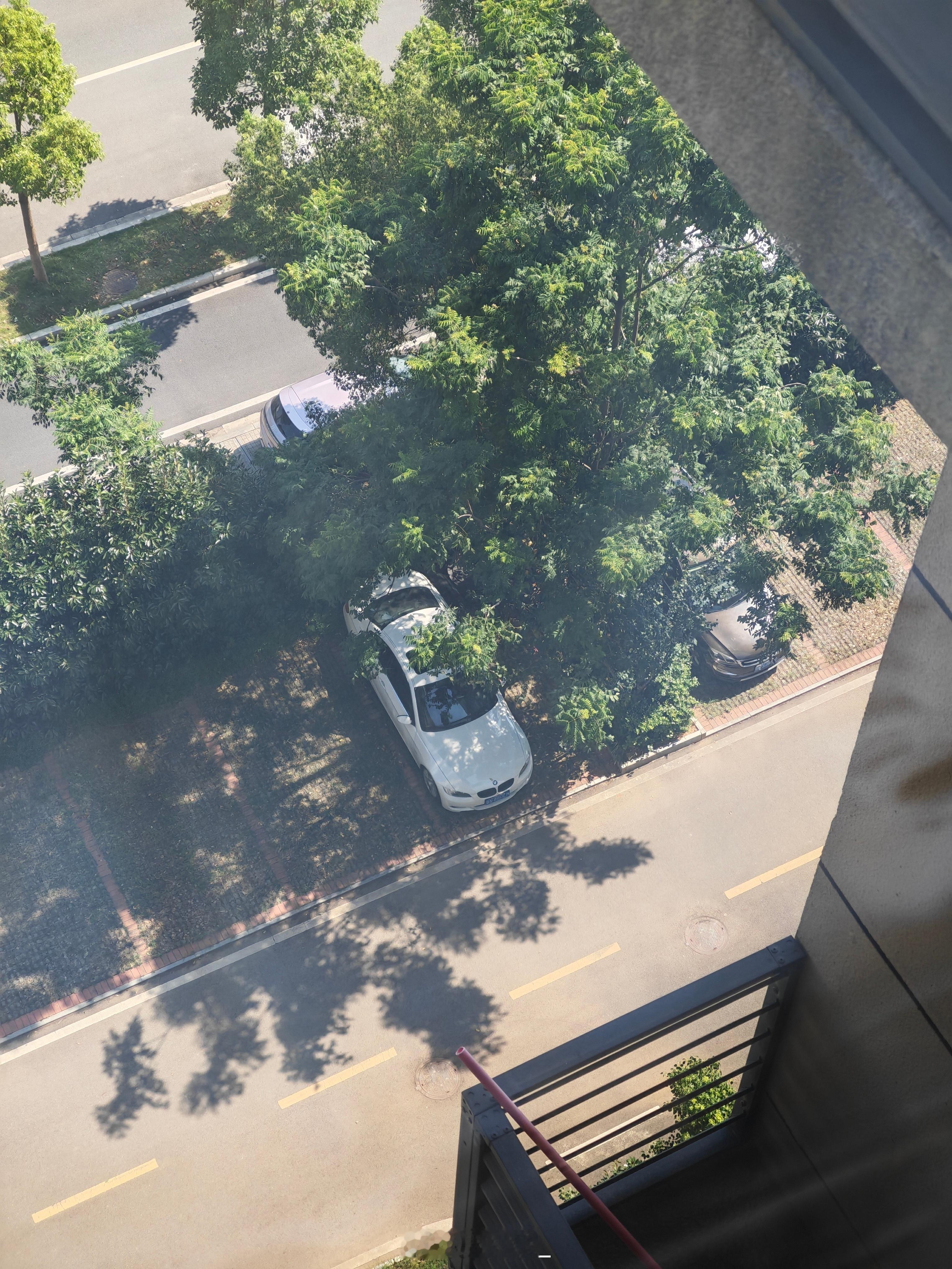 湖北高温省级预警持续生效中武汉湿度高是公认的前两月我都把车放地库结果“北方”生活