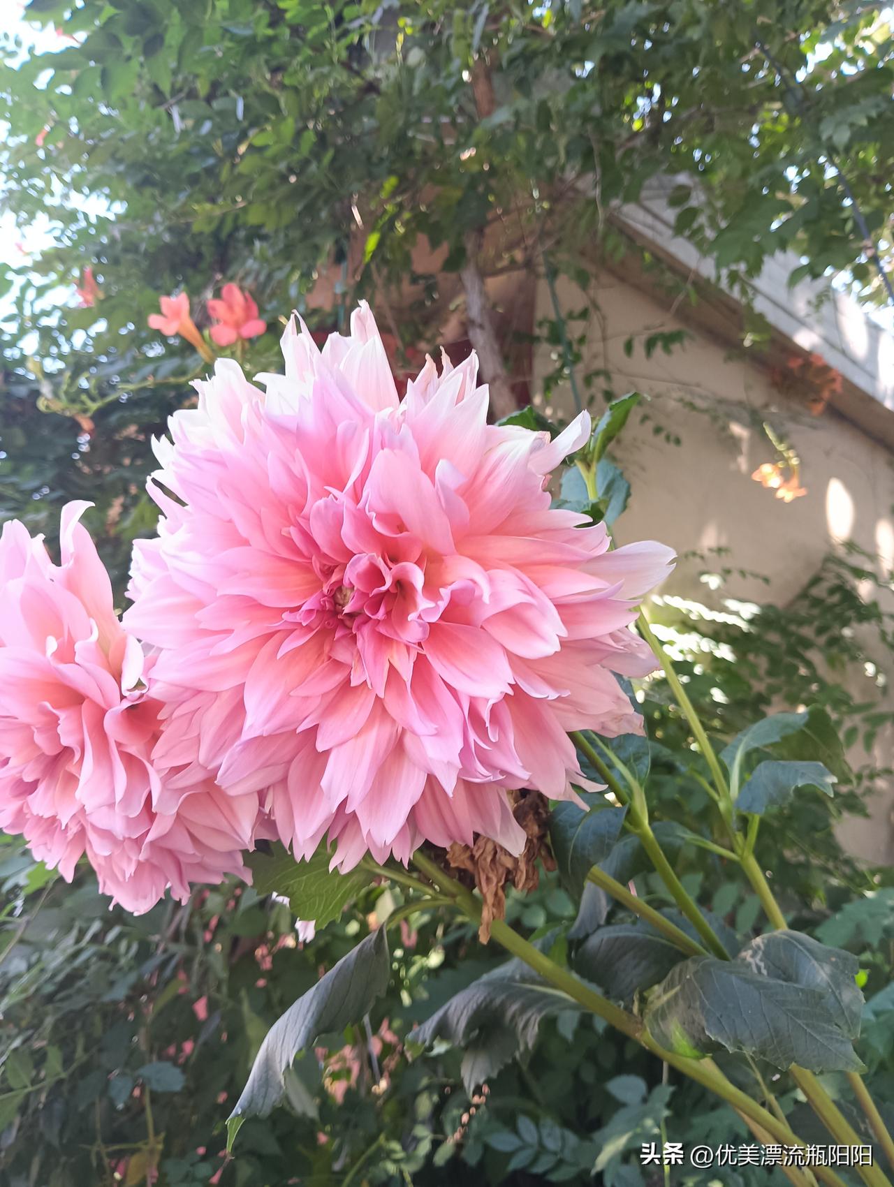 晒图笔记大赛太美了