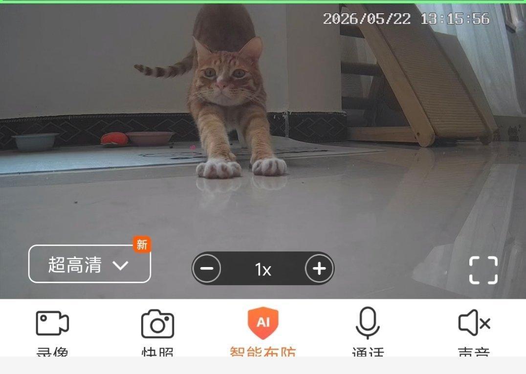 打开监控萌我一大跳