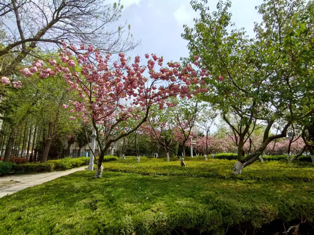 今年这天气，我一直以为我们这个城市是最热的。

因为我们靠着海边，不仅仅是高温的