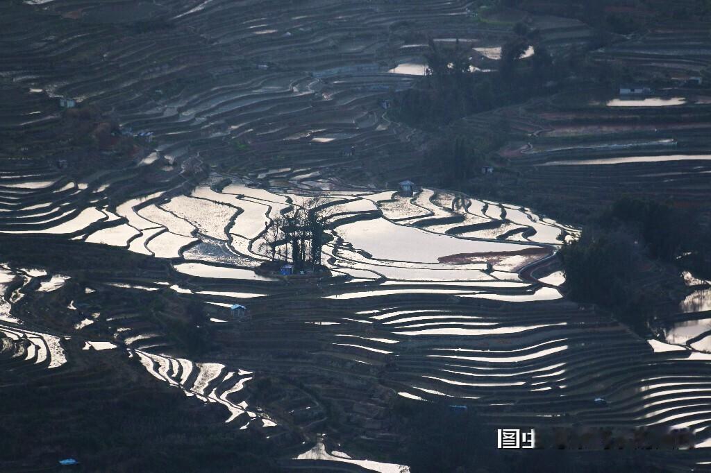 旅行合肥旅行拍照风光