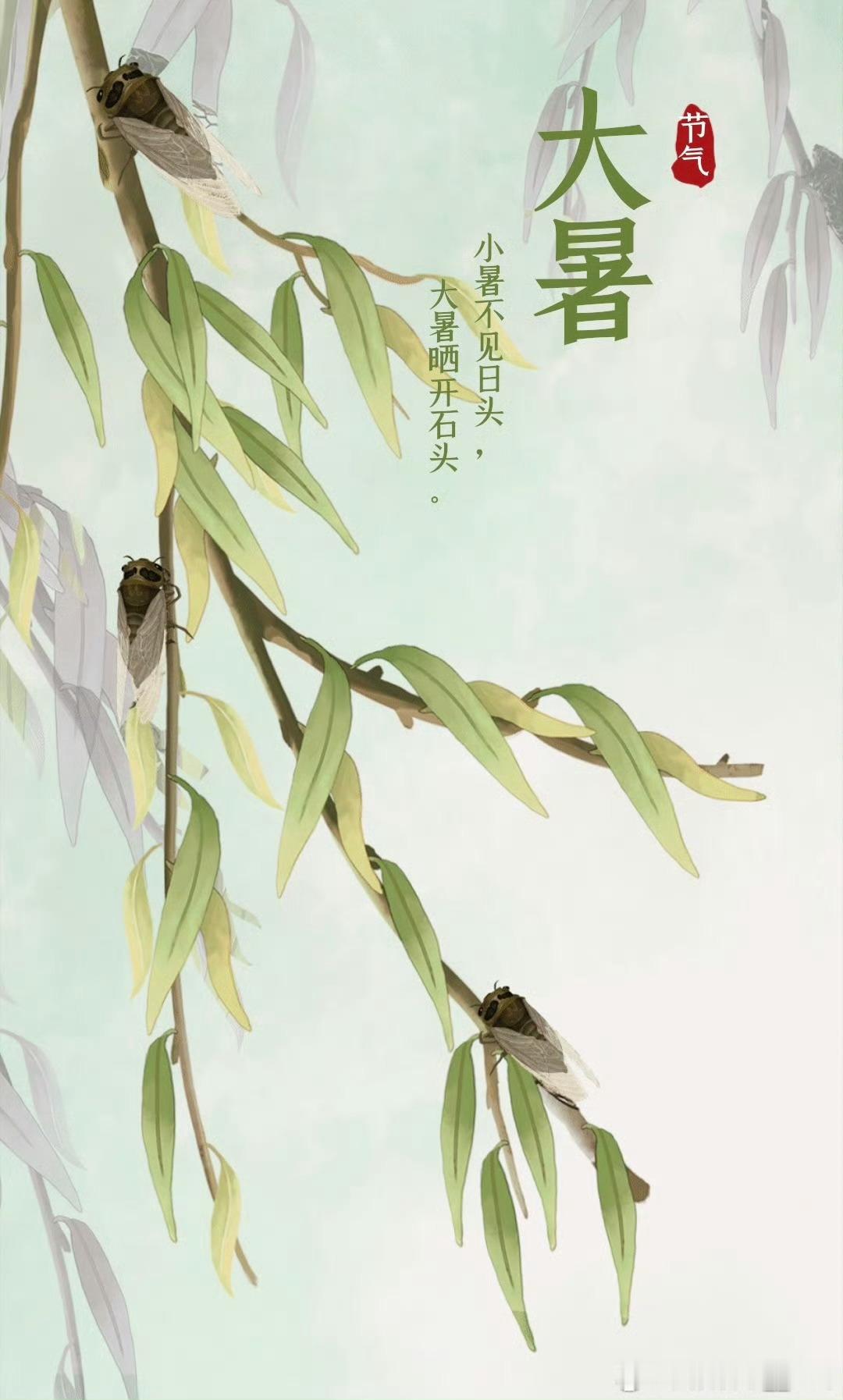 今日，大暑～～蝉噪林逾静，鸟鸣山更幽🌸