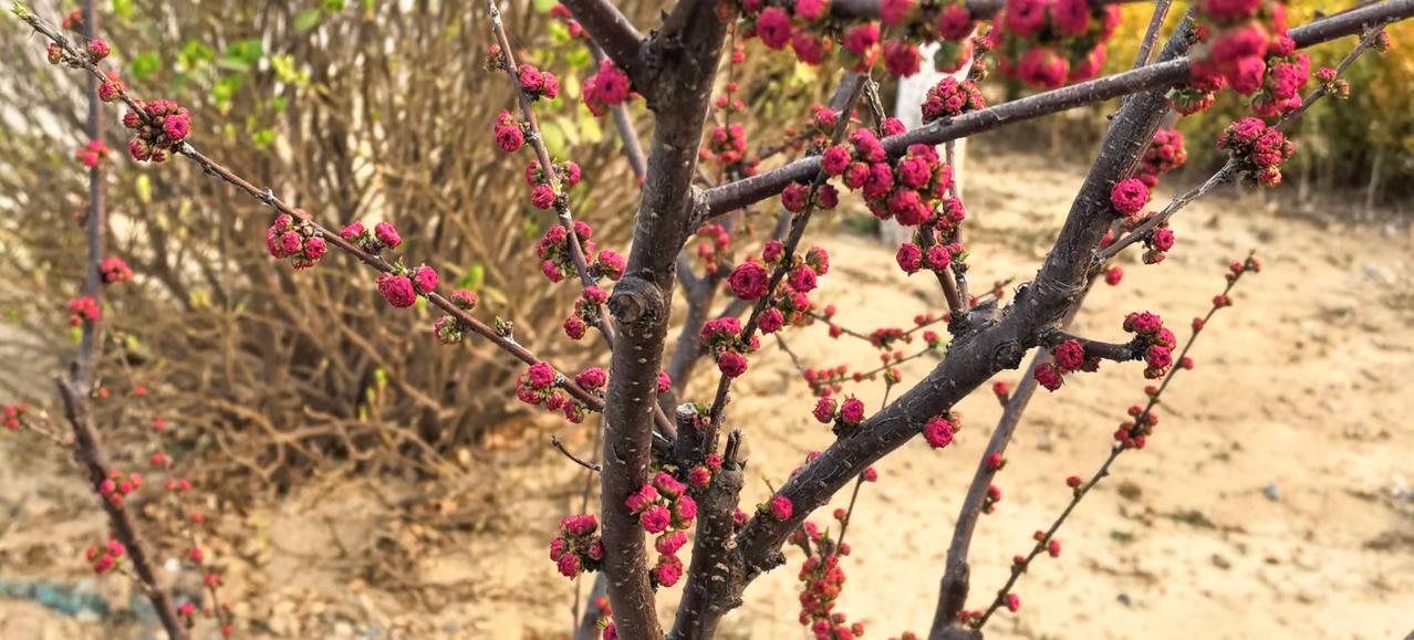 喜怒哀乐度春秋