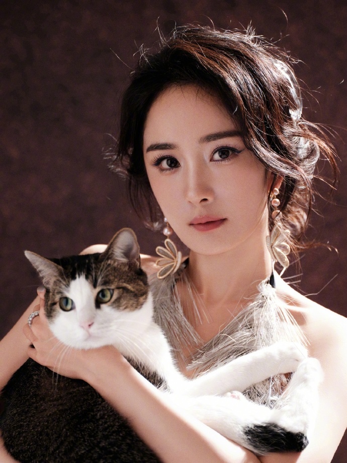 #杨幂抱猫照# 杨幂抱猫照有，是满分甜的幂姐和可爱的小猫呀，期待待会红毯见啦~​