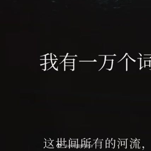 情感语录 我不再说，你像山、像海、又像雾。那些比喻太重，也太轻，盛不住一个完整的