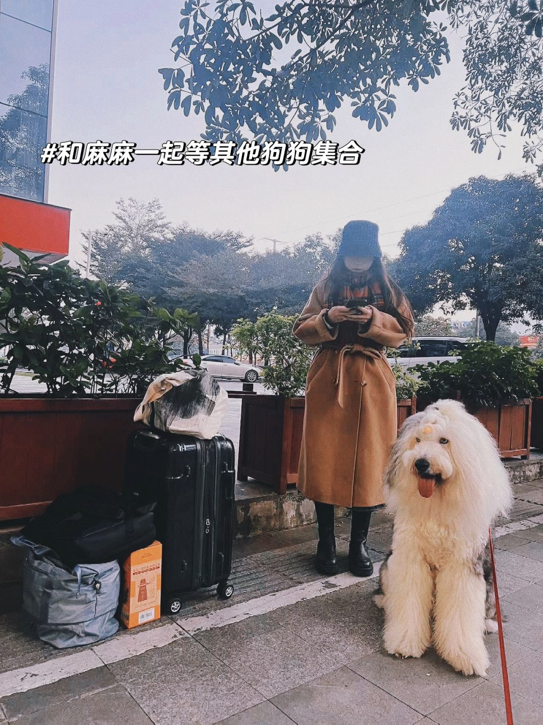 古牧：大年初二，适合和我妈粗去玩儿