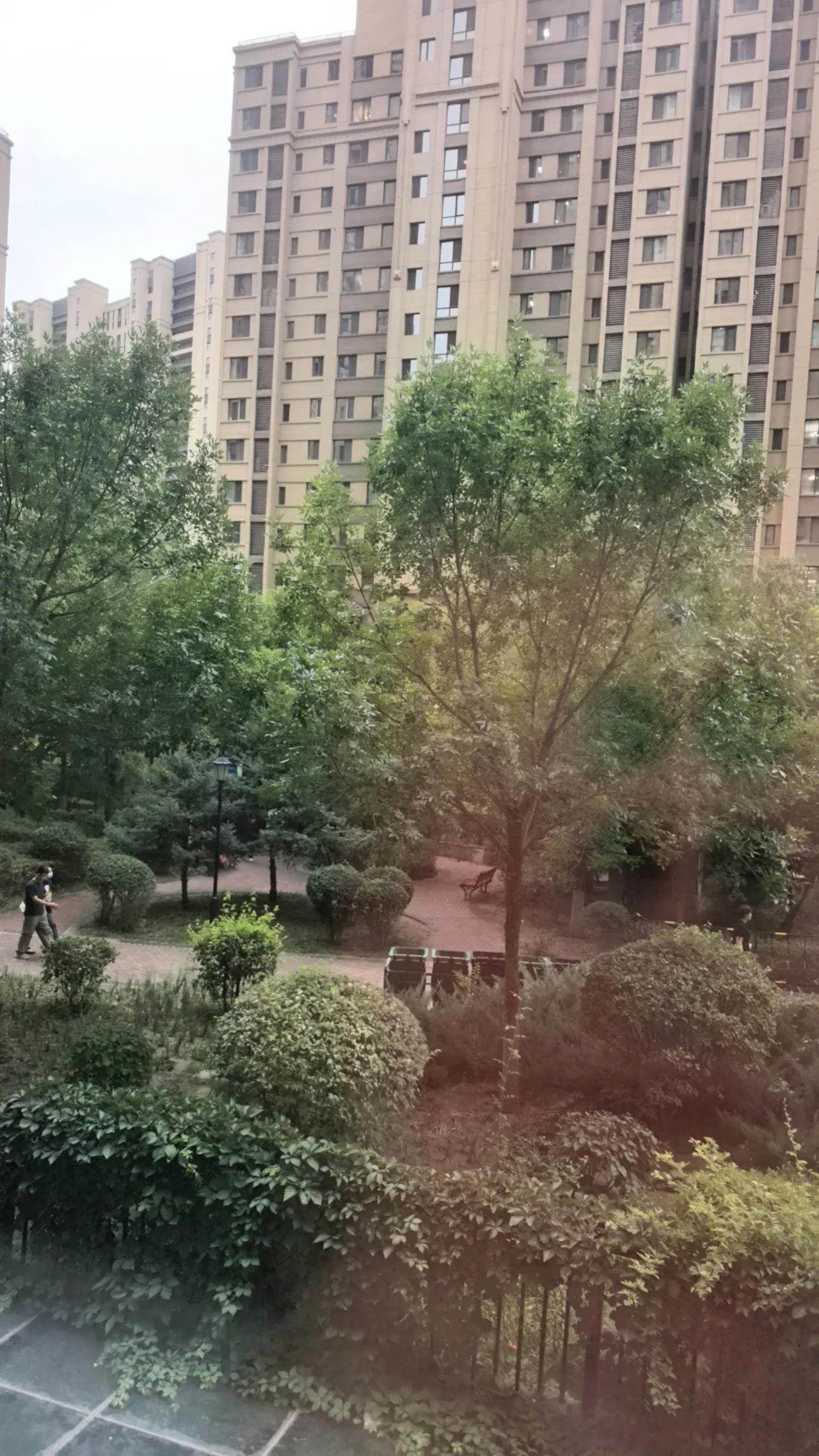 物业服务公司是不是不用投资的公司？今天上午，来到呼和浩特市赛罕区的一个小区里，小