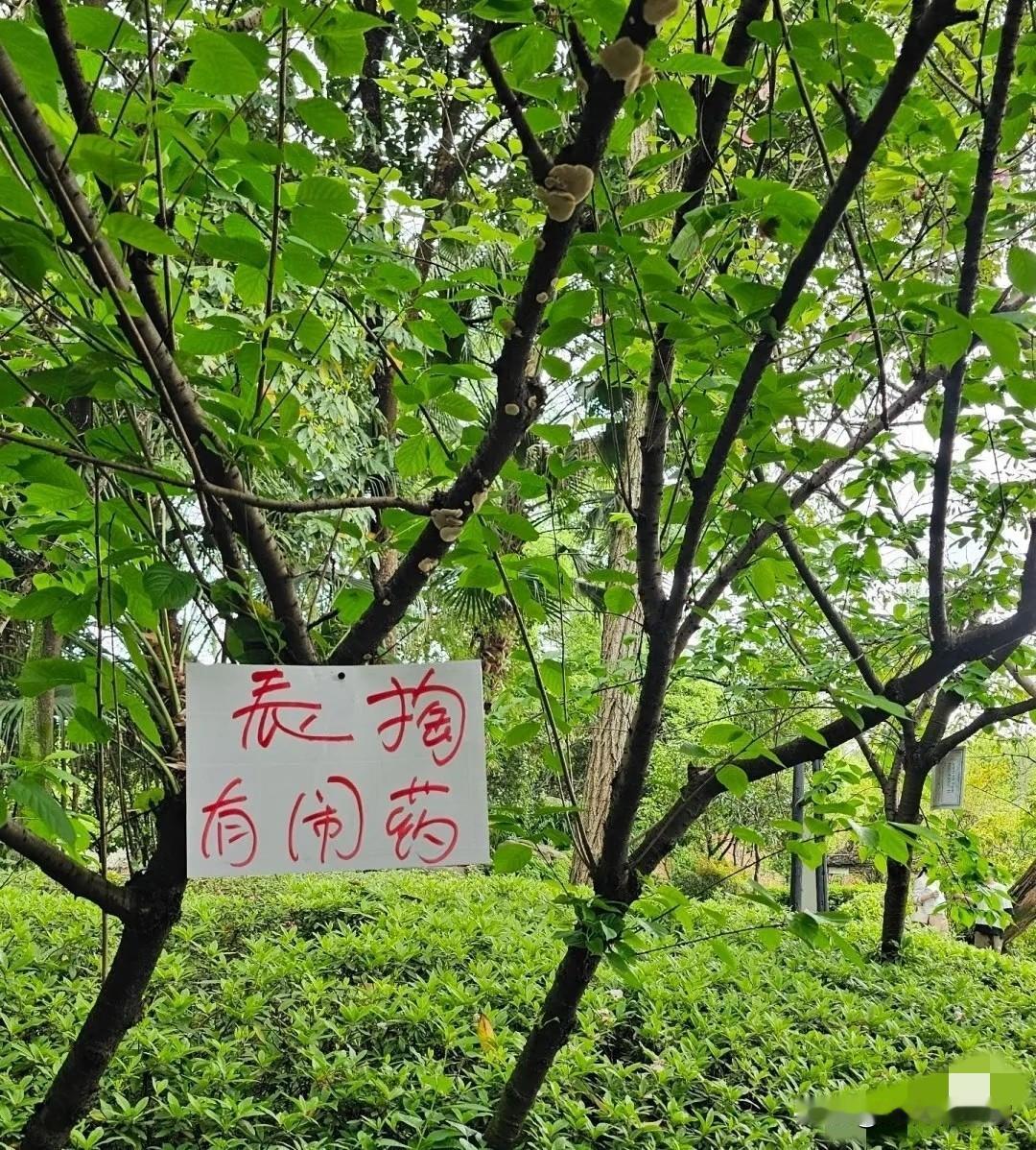 作为四川人，一看到这个话题就忍不住接话！咱们四川形容人不太聪明，可不止“哈戳戳”