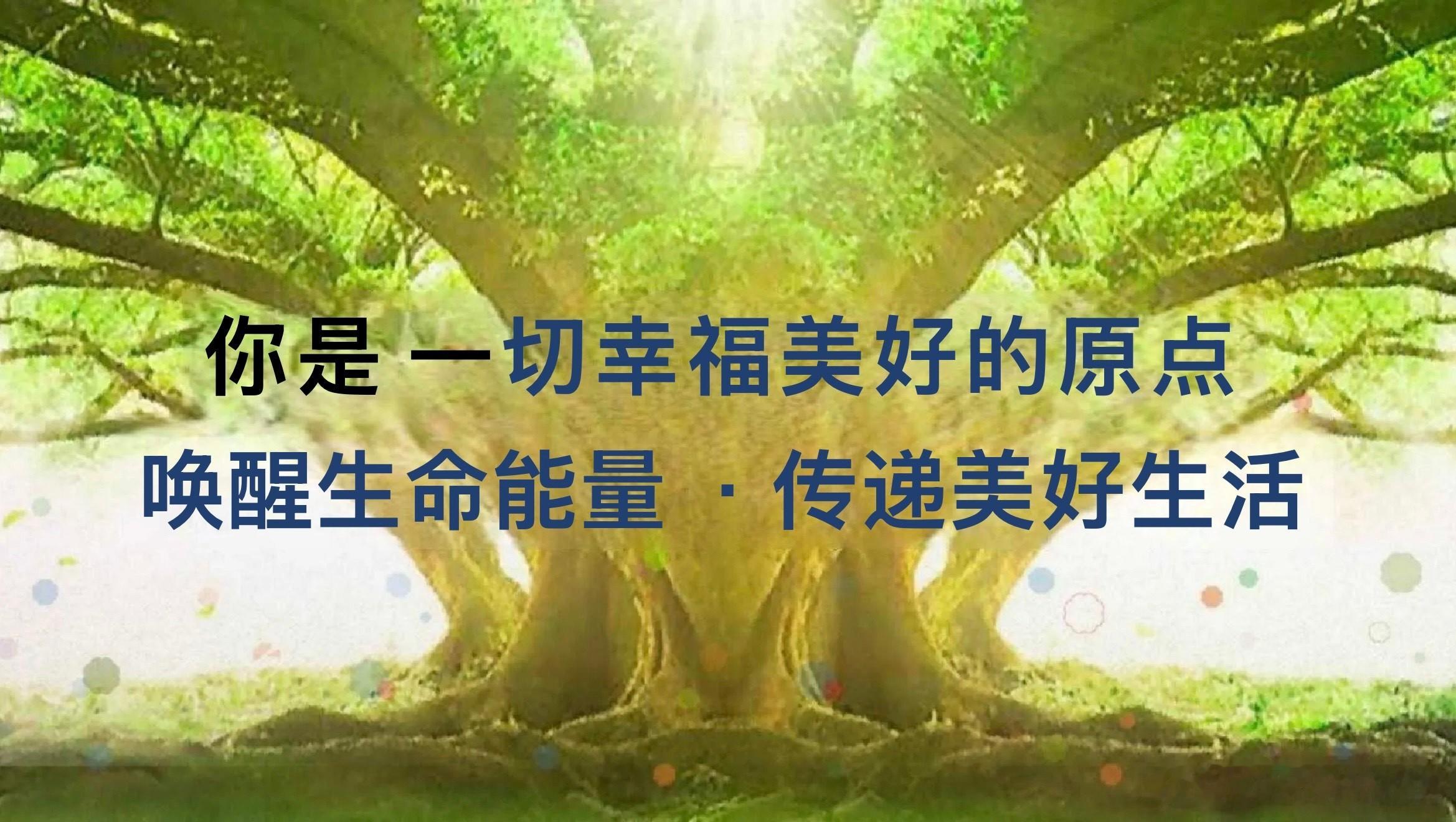顺境修力，逆境修心，人生精进，缺一不可。 广州·星辉生活体验馆