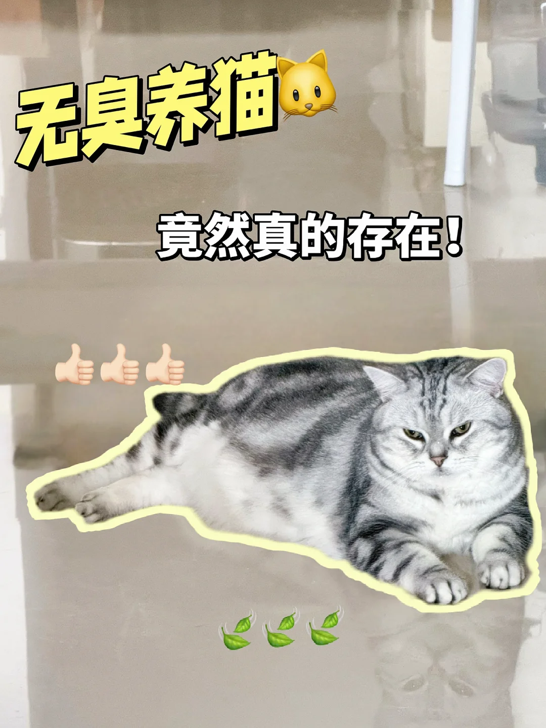 猫砂用对了，家里真的不臭啦❗