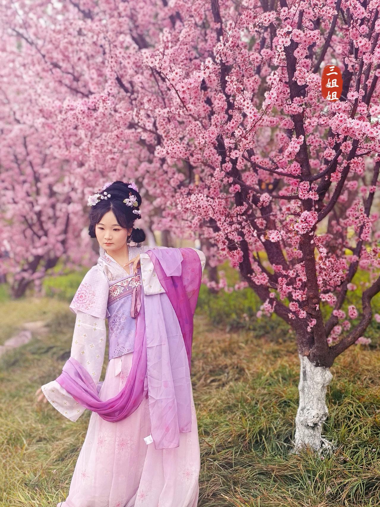 郑州植物园，赏樱正当时，花美人更美。
春日有幸事，赏樱正当时。这个周日来植物园赏