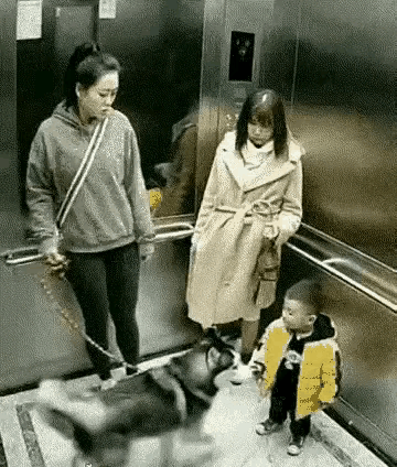 在电梯里发生的一幕让人心惊胆战。一只狗狗在电梯里冲向一个孩子，狗主人竟然纹丝不动