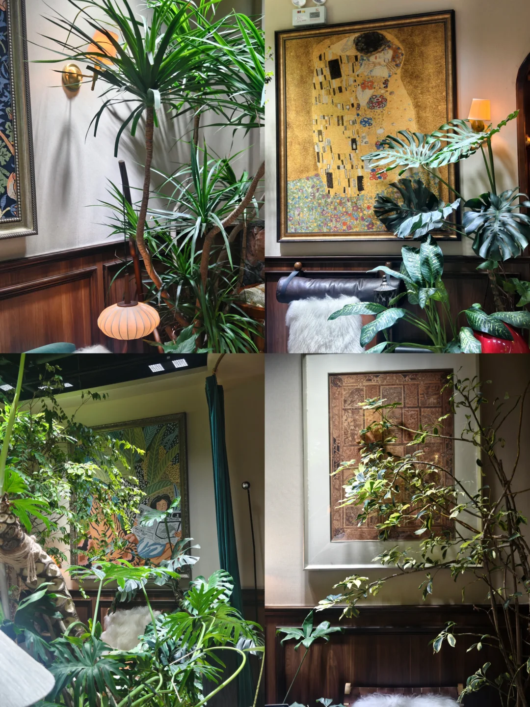 养护一样后植物的状态