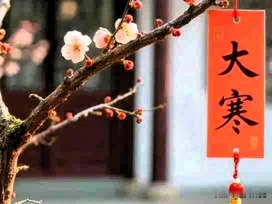 我的今日状态：😁轻松愉快
我这里的天气：☀️晴天

大寒到极处，
春归有盼期。