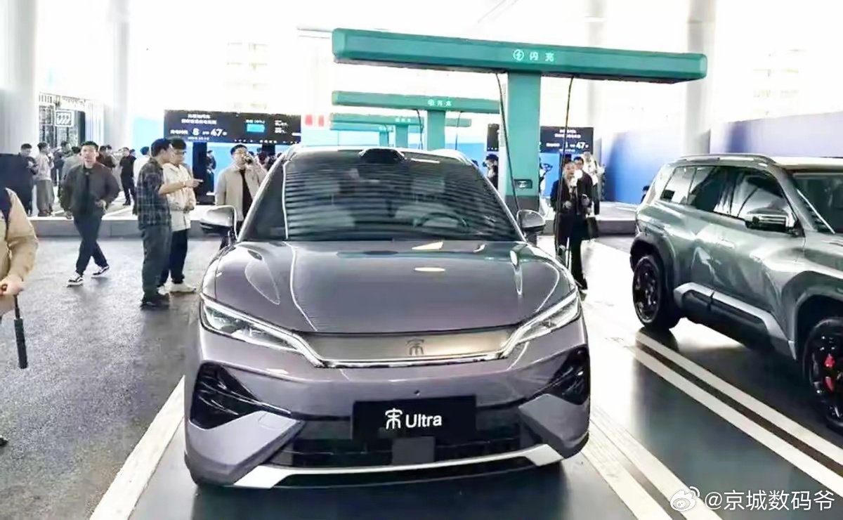 比亚迪：闪充桩一把枪对社会开放所有品牌车型均能使用“一枝独秀不是春，百花齐放春满