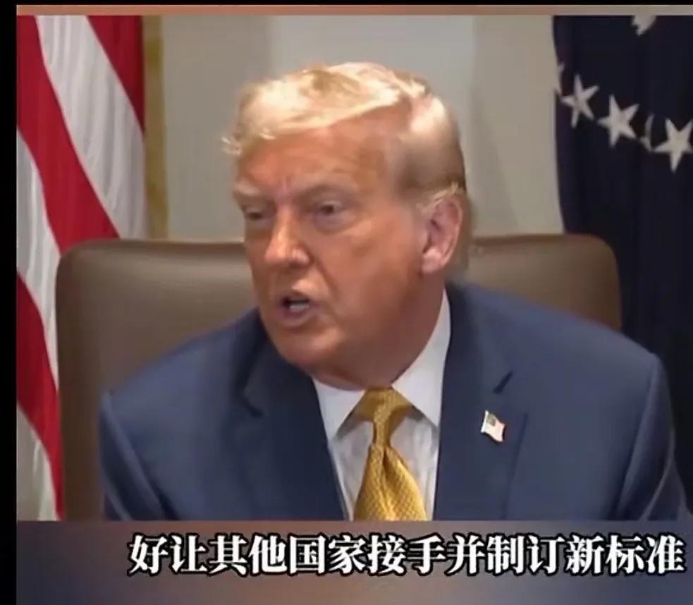 特朗普说，我其实不担心金砖国家，我担心的是有人准备推翻美元体系，另起炉灶！所以，