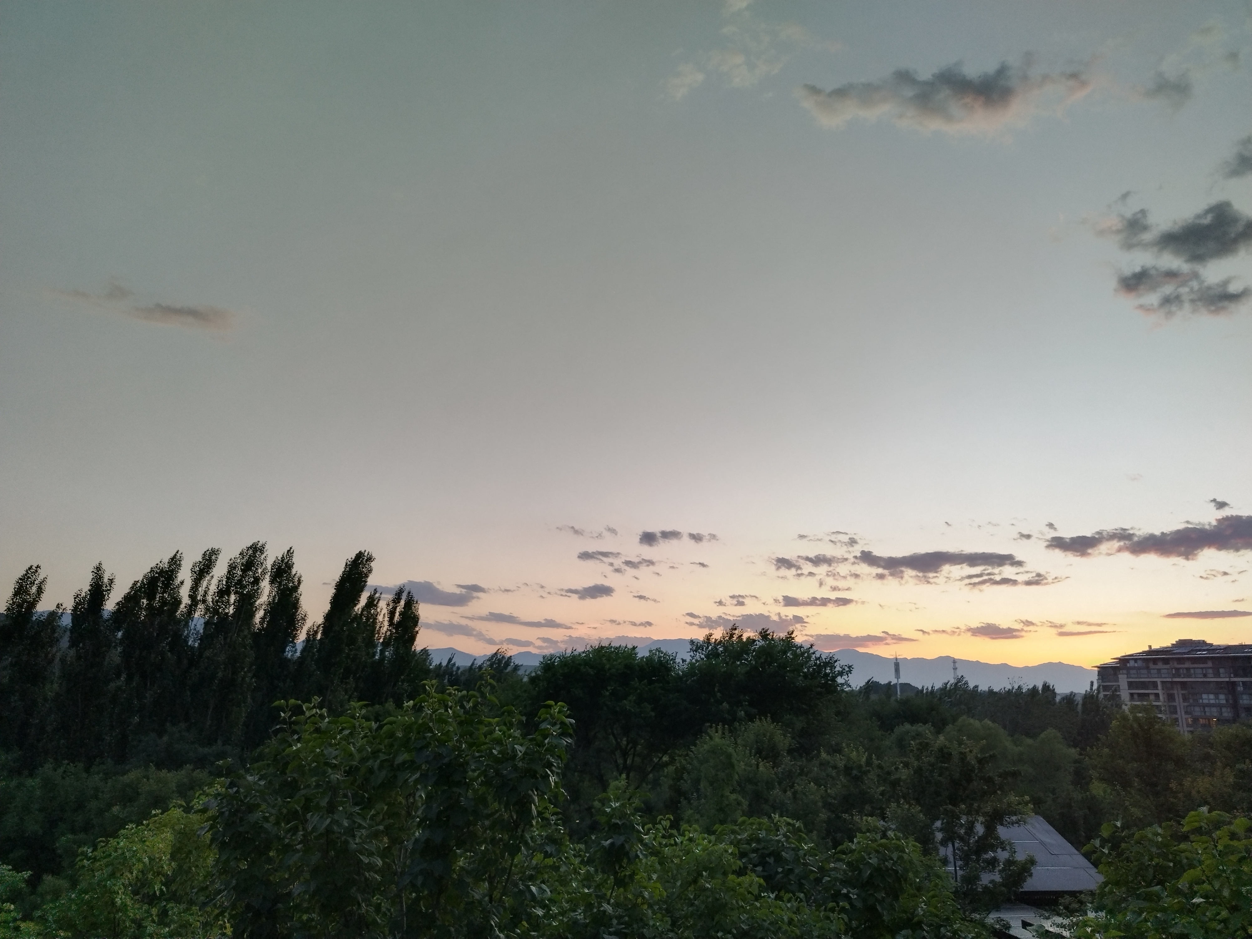 心疼文科生一生负气成今日，四海无人对夕阳。 北京·北京市百望山森林公园