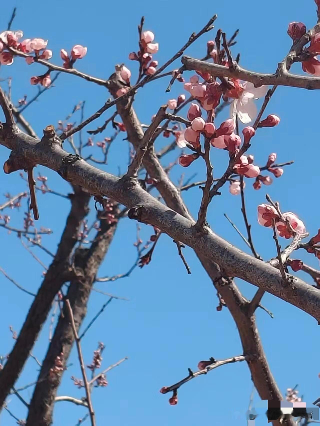 喜欢买书的人
就喜欢看书嘛
大错而特错了
喜欢买书的人他其实就是喜欢装B而已
就