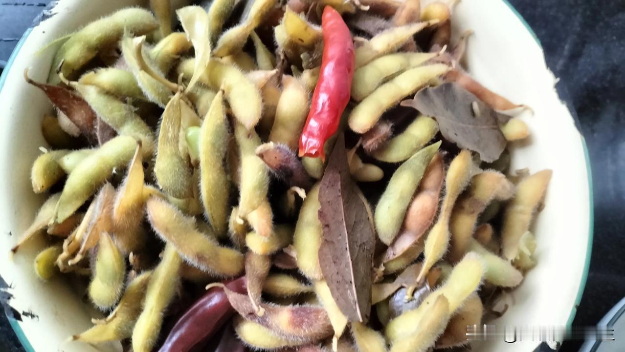 屋后邻居送了几棵嫩一点的黄豆，赶紧摘好淘净，拿锅加水，放点佐料，煮了40分钟。