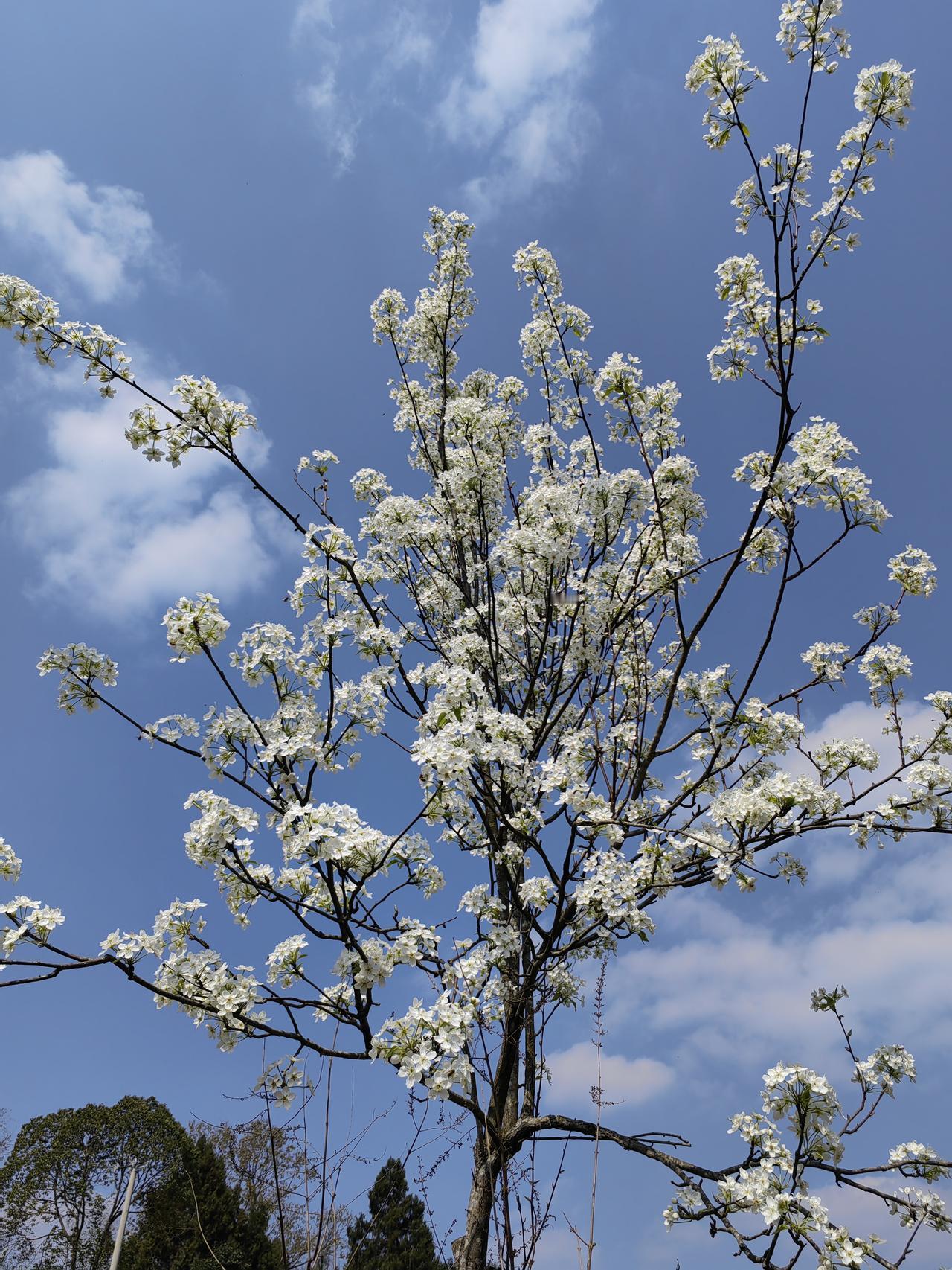 理念实践记录“精准提炼—深度认同—行为锚定—机制保障—实践深化—复盘优化”确实构