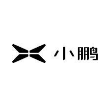 小鹏汽车即将推出全新品牌，将要进军10-15万级市场？据了解，3月16日小鹏汽车