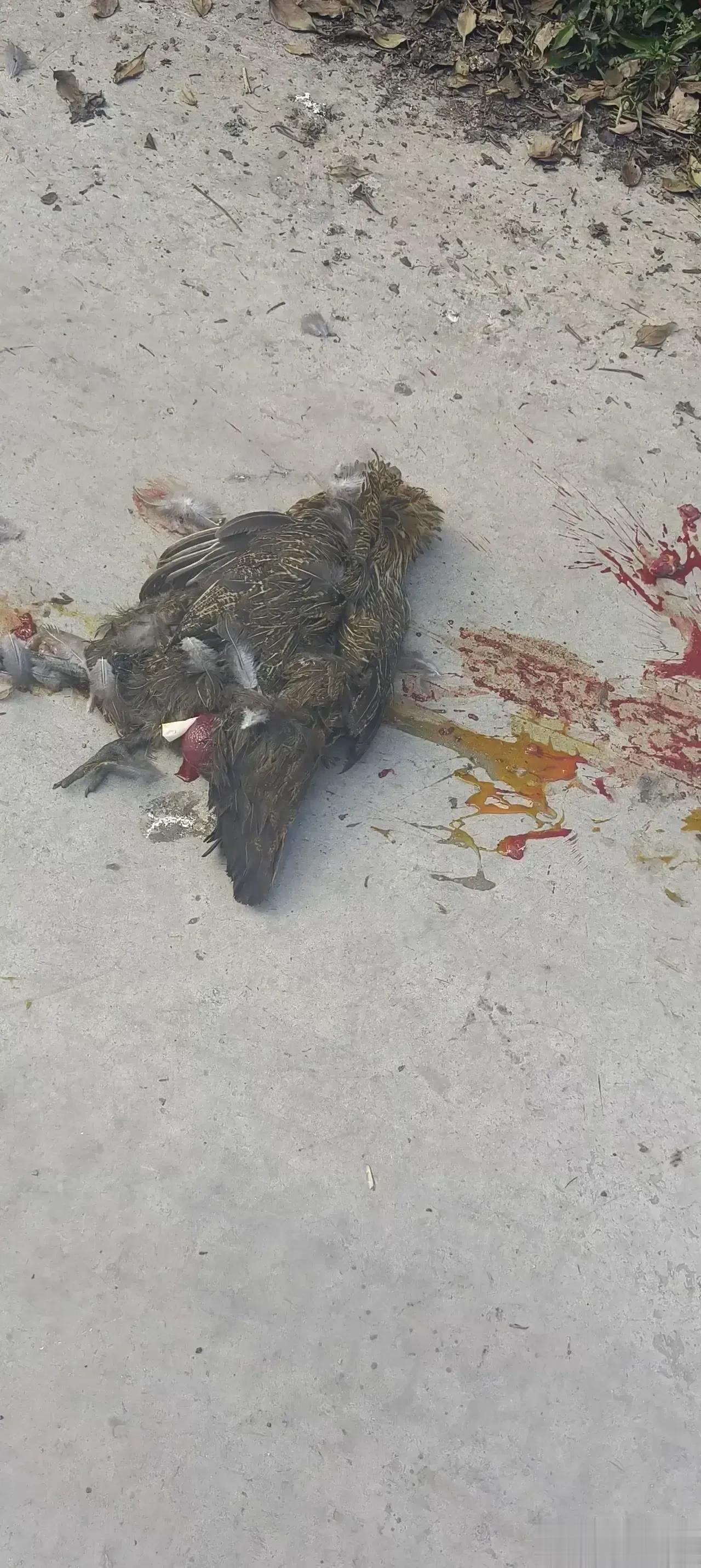 #世界怎么了#这世上，不少人看上去是人，实际上内心已经变态到不再是人了。

他们