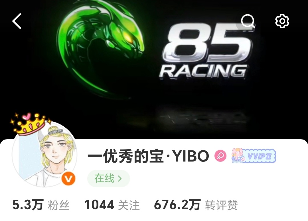 嘿嘿嘿，成功改名换上了85RACING，酷酷的！ 