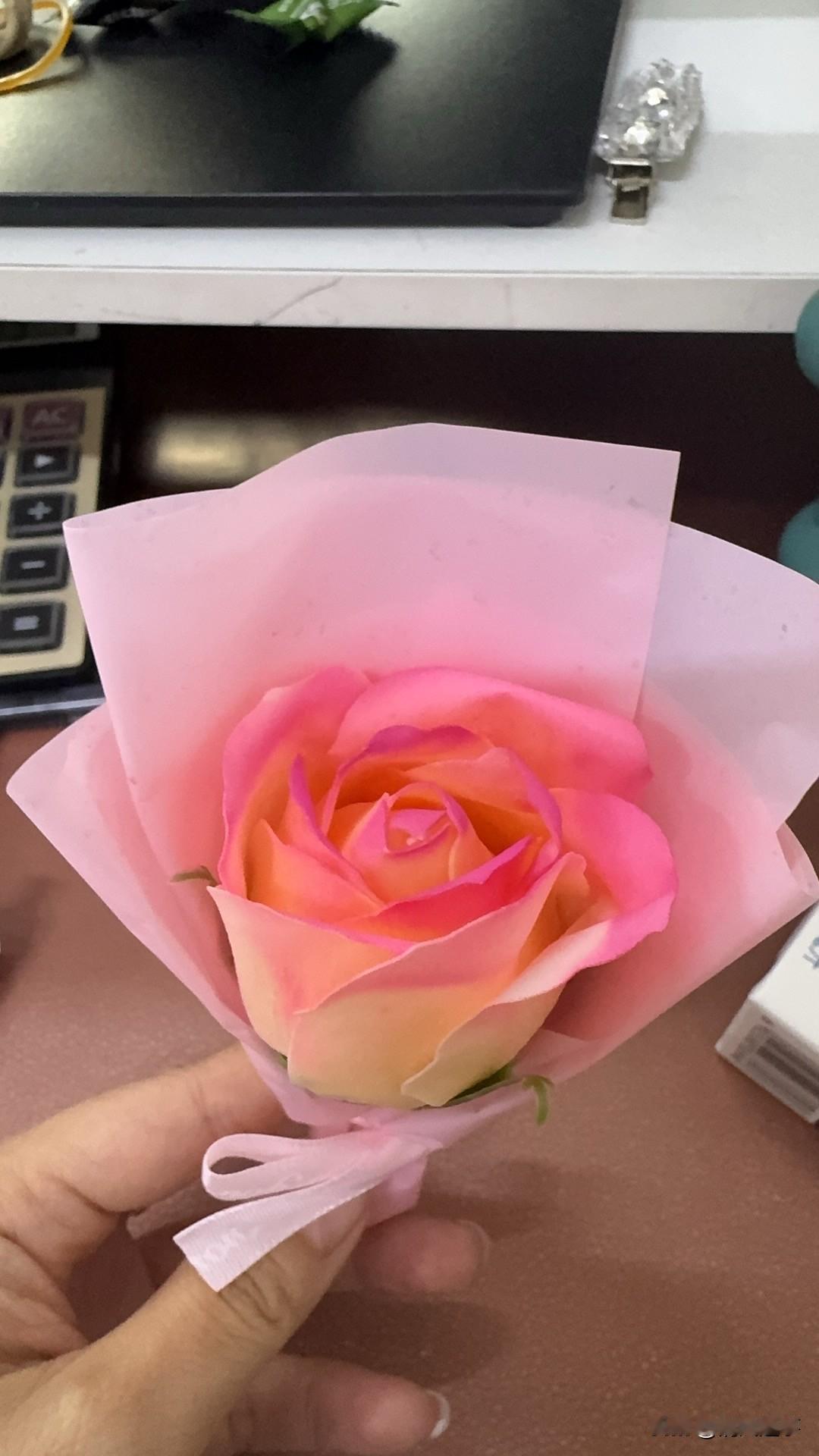 工位上的“小玫瑰”
接住了我一上午的疲惫

今早刚坐下，手心里就多了这朵裹着粉纸