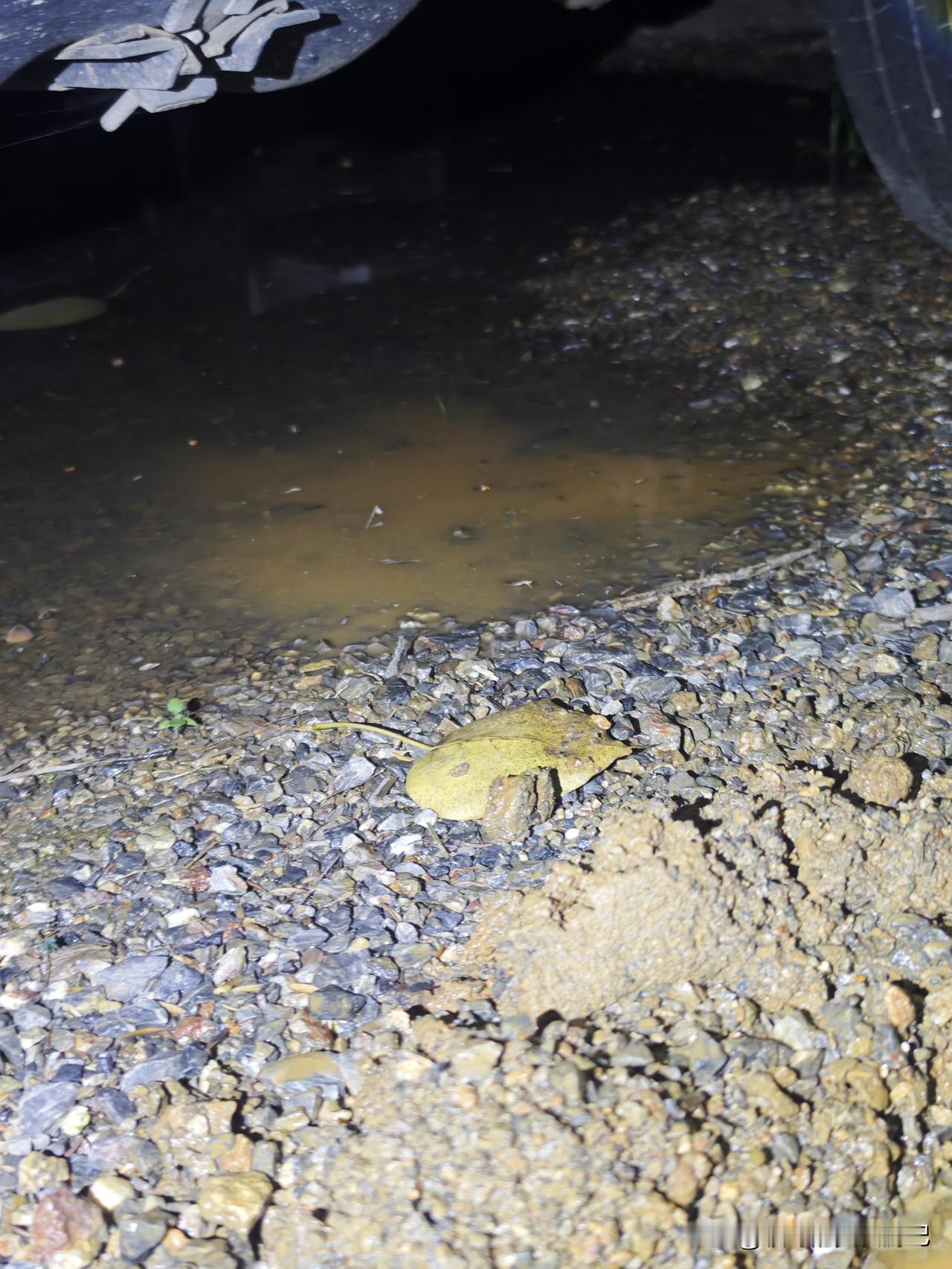 记录我的2026隔壁房车给车里水箱注水忘了关开关人也出去了，等发现时隔壁的水已经