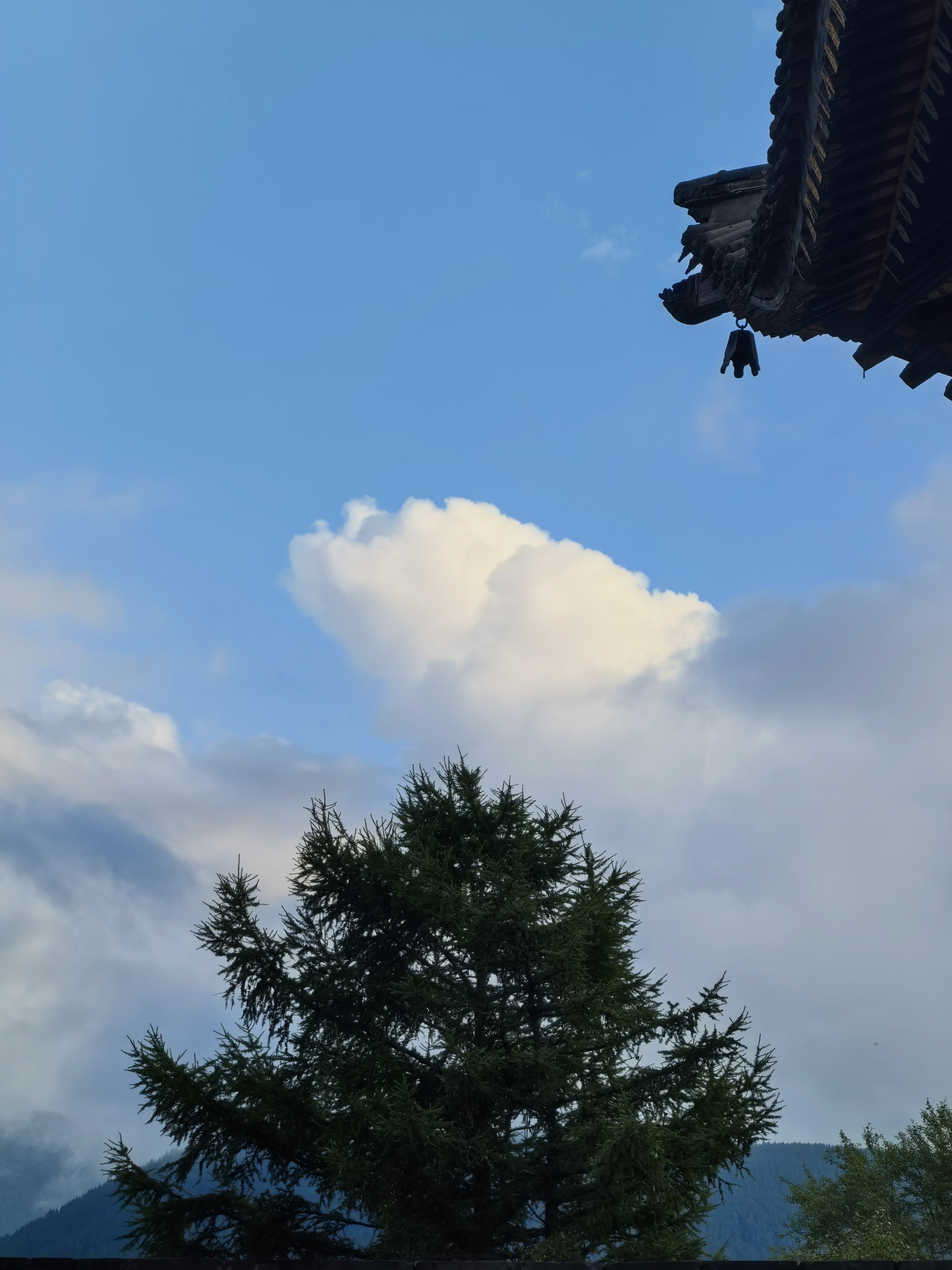 深解《楞严经》二十五圆通修证理路善问,此是《楞严经》全经之眼目，亦是一切大乘行人