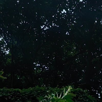 每日一善 每一次向善的选择，都在为生命的画卷添上一笔明亮的色彩。 