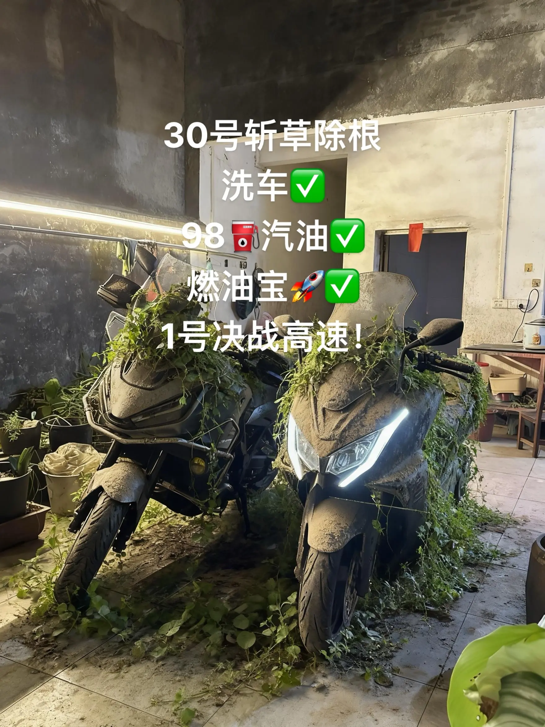 丰田卡罗拉.雷凌 。日产轩逸 你们三台车尽量不要制造焦虑，没事不要上高速。