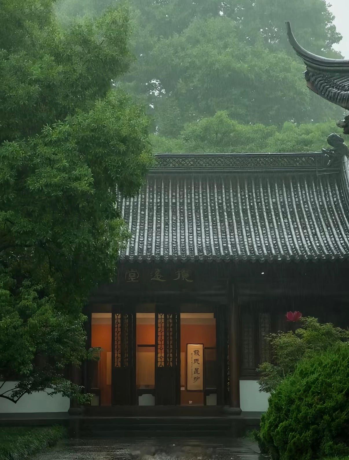 没点天赋真拍不出这照片 雨天能拍出这种氛围感真的绝了！水珠和光影的捕捉太妙，每一